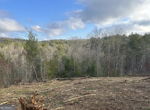 LT37 Morganton Hwy, Morganton, GA, 30560 | Card Image