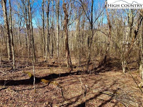 38 Sugar Tree Ln, Sugar Mountain, NC, 28604 | Card Image