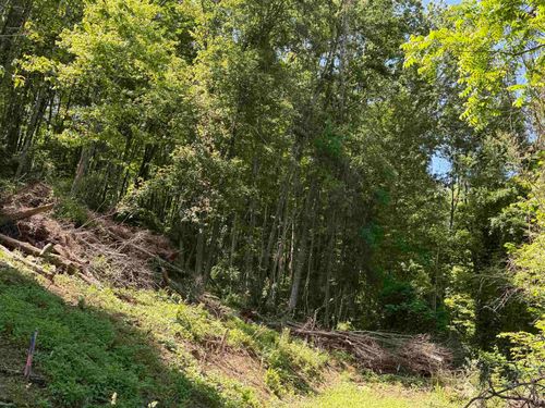 TBD Sandy Dr, Grafton, WV, 26354 | Card Image