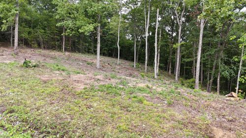 Lot 44 Bayside Blvd, Bean Station, TN, 37708 | Card Image