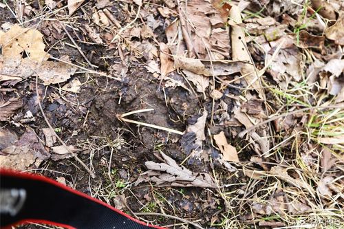 00 Roderick Rd, Cadet, MO, 63630 | Card Image