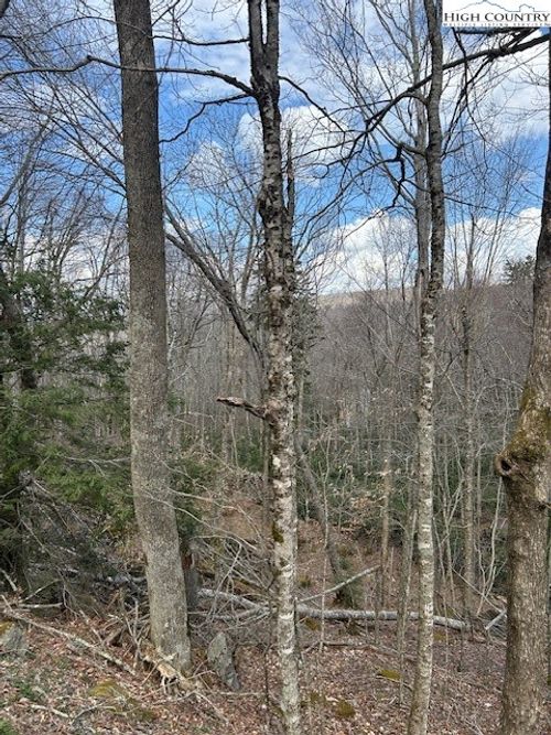 116 E Blueberry Ln, Beech Mountain, NC, 28604-8064 | Card Image