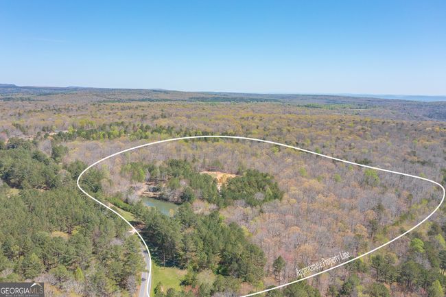 168 State Line Rd, House other with 4 bedrooms, 2 bathrooms and null parking in Cloudland GA | Image 39