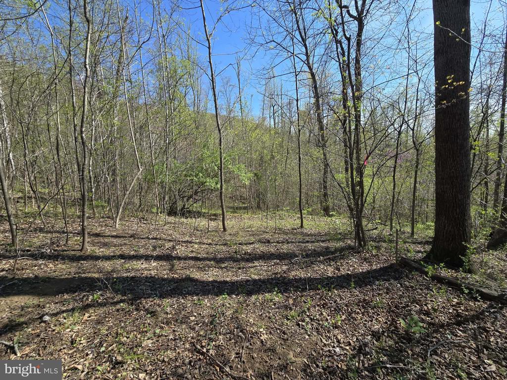 Land in MADISON 3