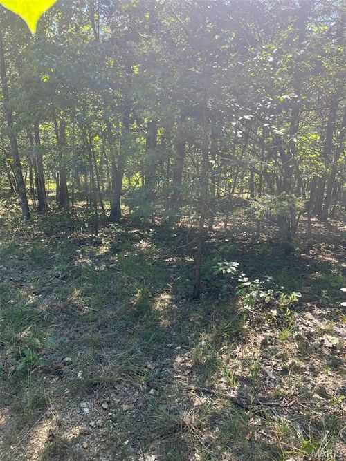 5526 Bon Ron Dr, Hillsboro, MO, 63050-5400 | Card Image