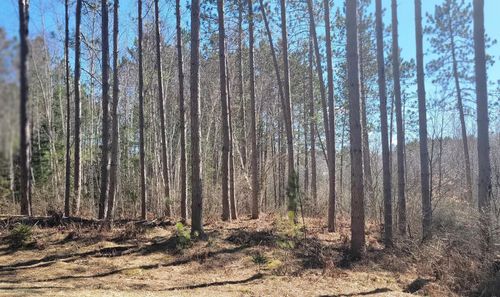 On Hunter Lake Rd, Winter, WI, 54896 | Card Image