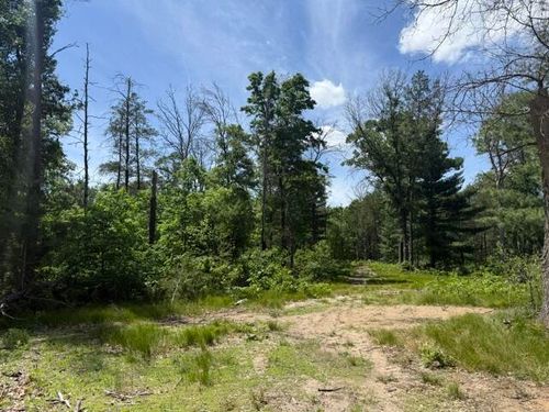 Parcel 2 Grove Street, Baldwin, MI, 49304 | Card Image