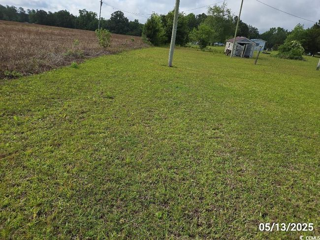 View of green lawn | Image 11