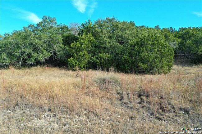 111 Dodder Ln, Home with 0 bedrooms, 0 bathrooms and null parking in Spring Branch TX | Image 9