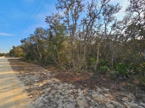 34310 Manuel St, Webster, FL, 33597-9218 | Card Image