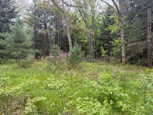 4465 E Old M 63, House other with 3 bedrooms, 1 bathrooms and null parking in Luther MI | Image 21