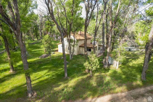 View of grassy yard | Image 29