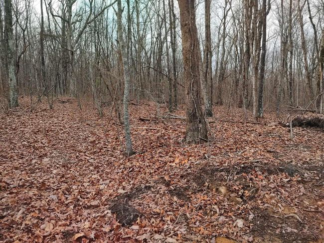 75 Renegage Mountain Parkway, Home with 0 bedrooms, 0 bathrooms and null parking in Crab Orchard TN | Image 11