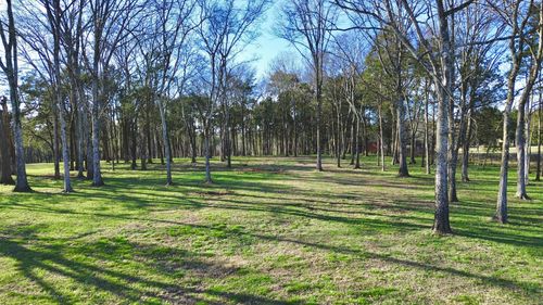 8649 Taliaferro Rd, Eagleville, TN, 37060-9106 | Card Image