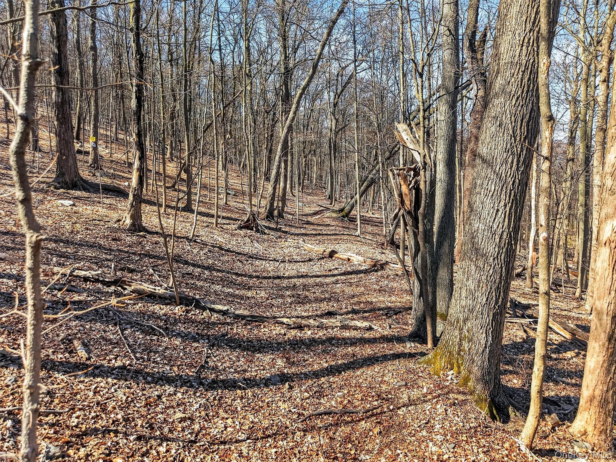 Land in Beacon 4