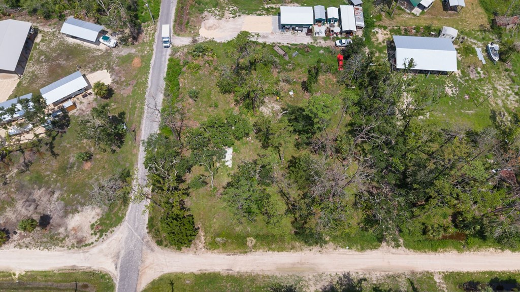 Land in Steinhatchee 5