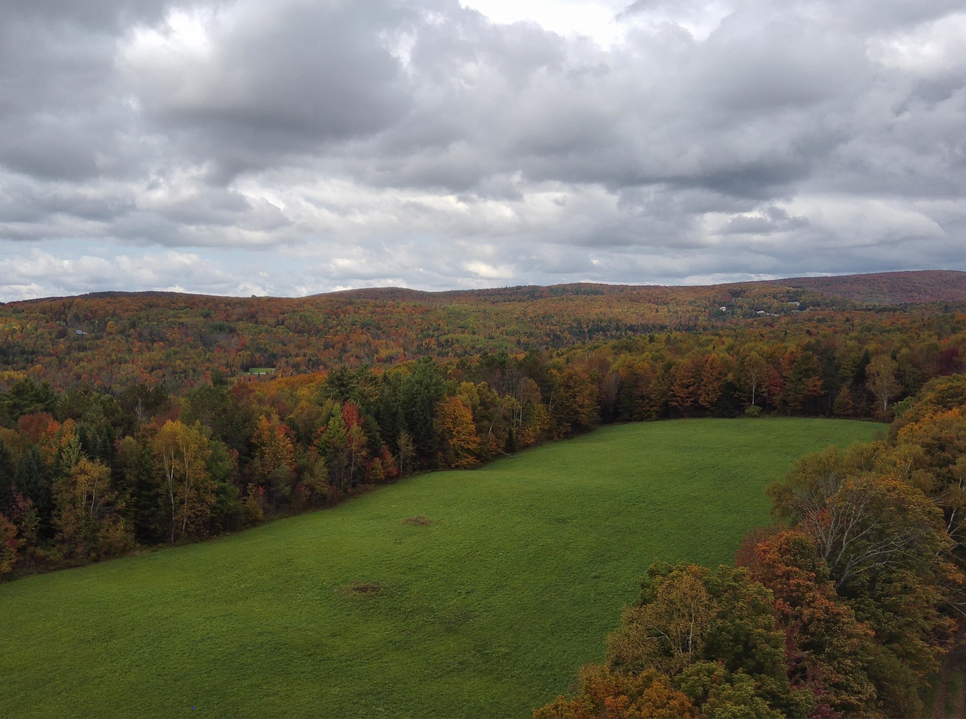 Land in Danville 3