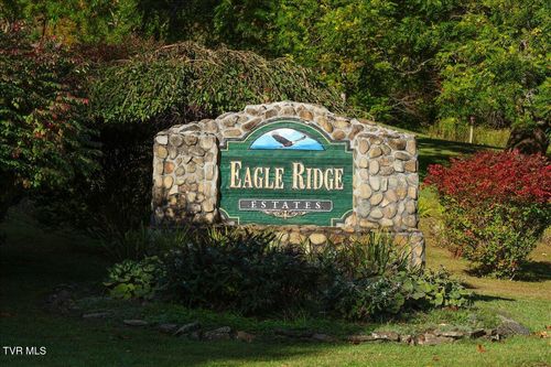 Tbd Eagle Ridge Rd, Roan Mountain, TN, 37687 | Card Image