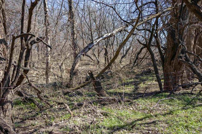 View of landscape with a view of trees | Image 26