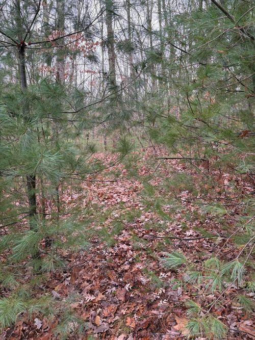 1129006 Joseph Way, Waterboro, ME, 04030 | Card Image