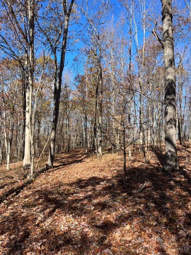1459 Kizzie Run Rd, House other with 3 bedrooms, 3 bathrooms and null parking in Rarden OH | Image 92