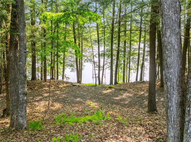 9926 Birch Circle Dr, House other with 3 bedrooms, 2 bathrooms and null parking in Ladysmith WI | Image 37