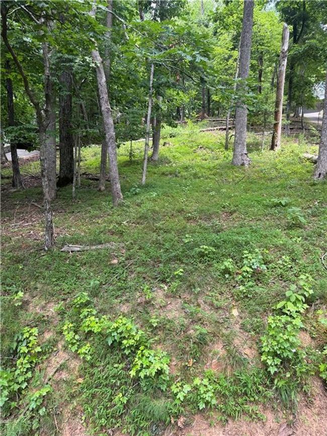 830 N Duffer Dr, Home with 0 bedrooms, 0 bathrooms and null parking in Jasper GA | Image 4