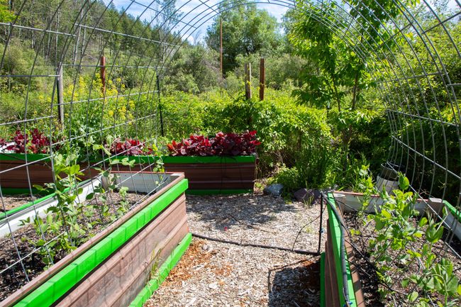View of yard featuring a vegetable garden | Image 10