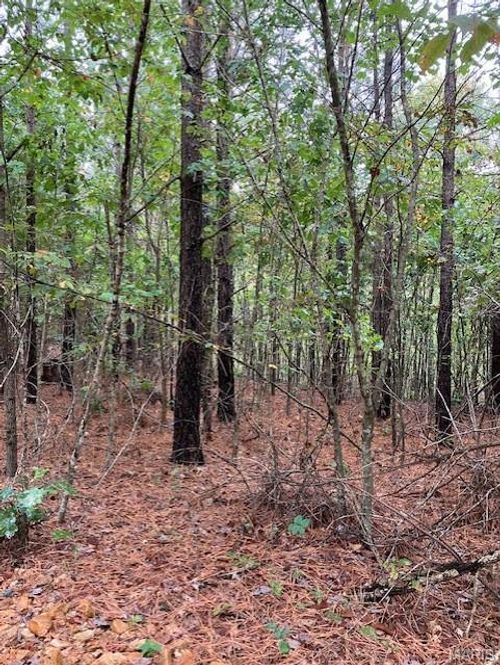 158 Madison St, Fredericktown, MO, 63645 | Card Image