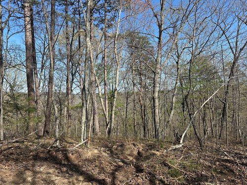 Lot 2 Buckeye Ln, Wilder, TN, 38589 | Card Image