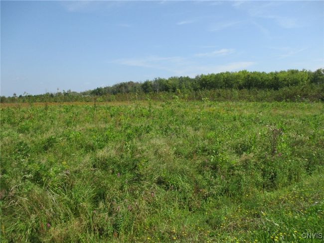 2 Hitchcock Point Road, Home with 0 bedrooms, 0 bathrooms and null parking in Sullivan NY | Image 12