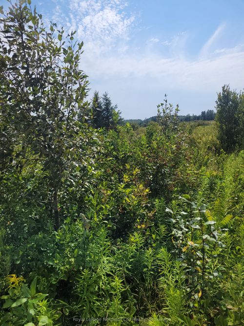 303 Talon Crescent W, Bonfield, ON, P0H1E0 | Card Image