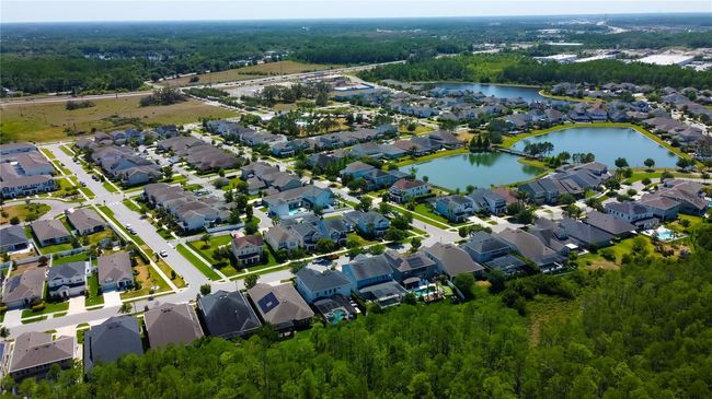 14975 Renaissance Ave, House other with 4 bedrooms, 3 bathrooms and null parking in ODESSA FL | Image 72