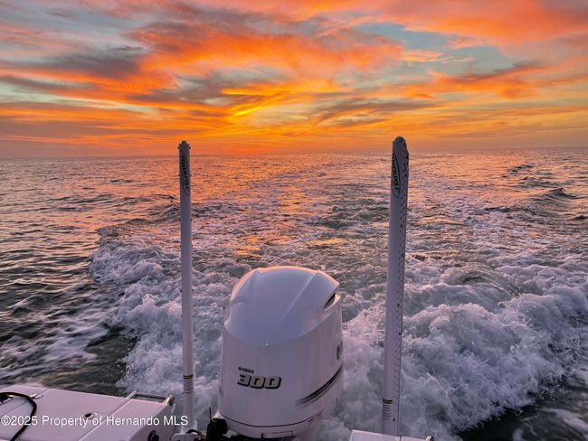 Sunset Cruises | Image 4