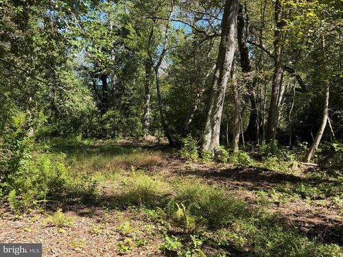 51 Laurel Ave, Elmer, NJ, 08318 | Card Image