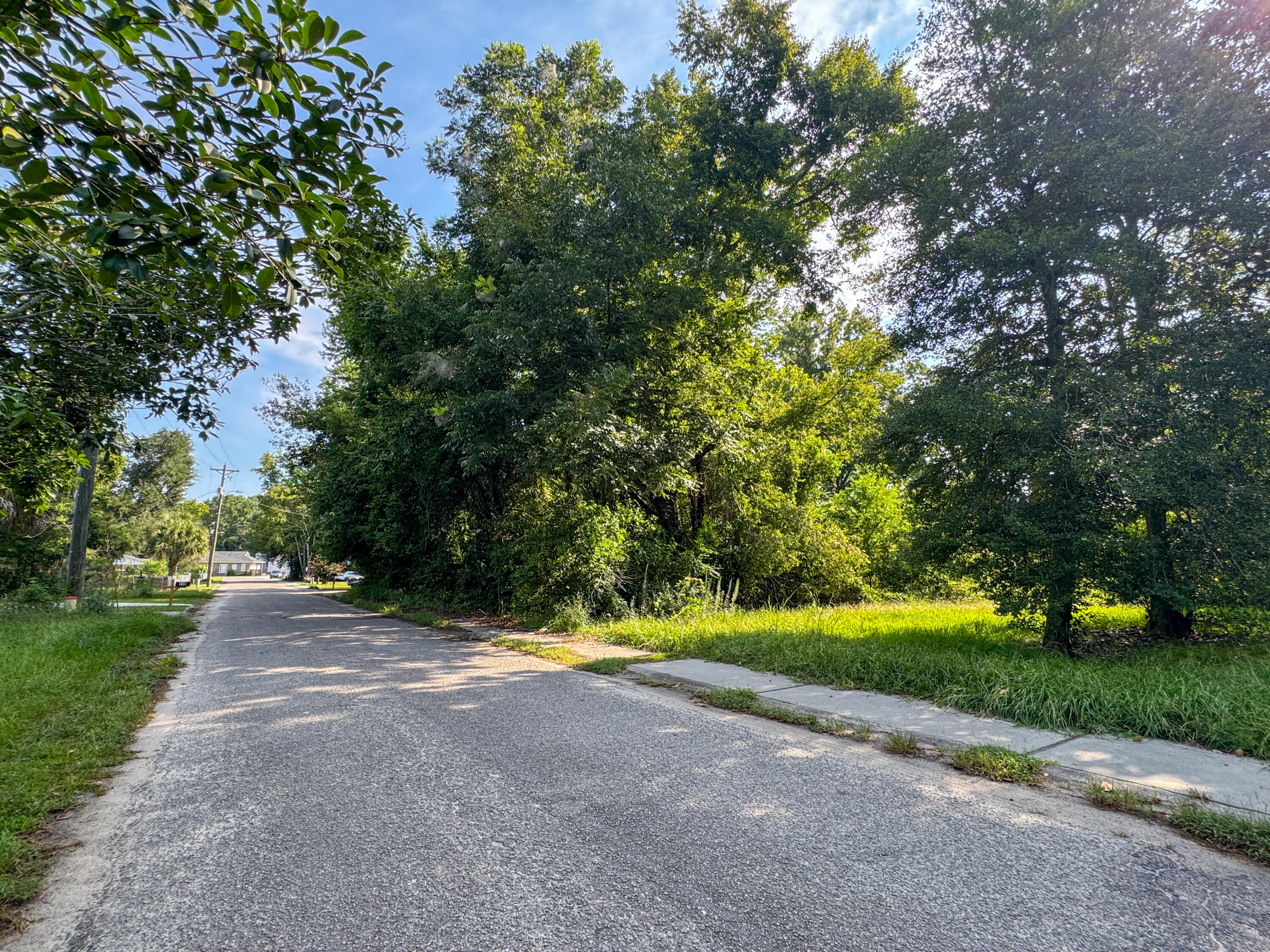 Land in Walterboro 4