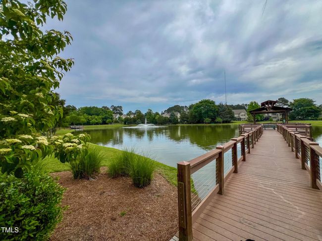 ForgottenPond1 | Image 28