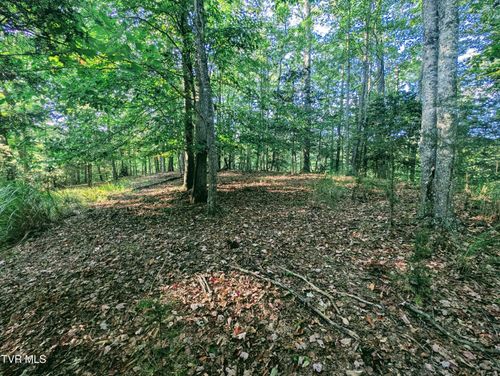 Tbd Blowing Rock Rd, Haysi, VA, 24256 | Card Image
