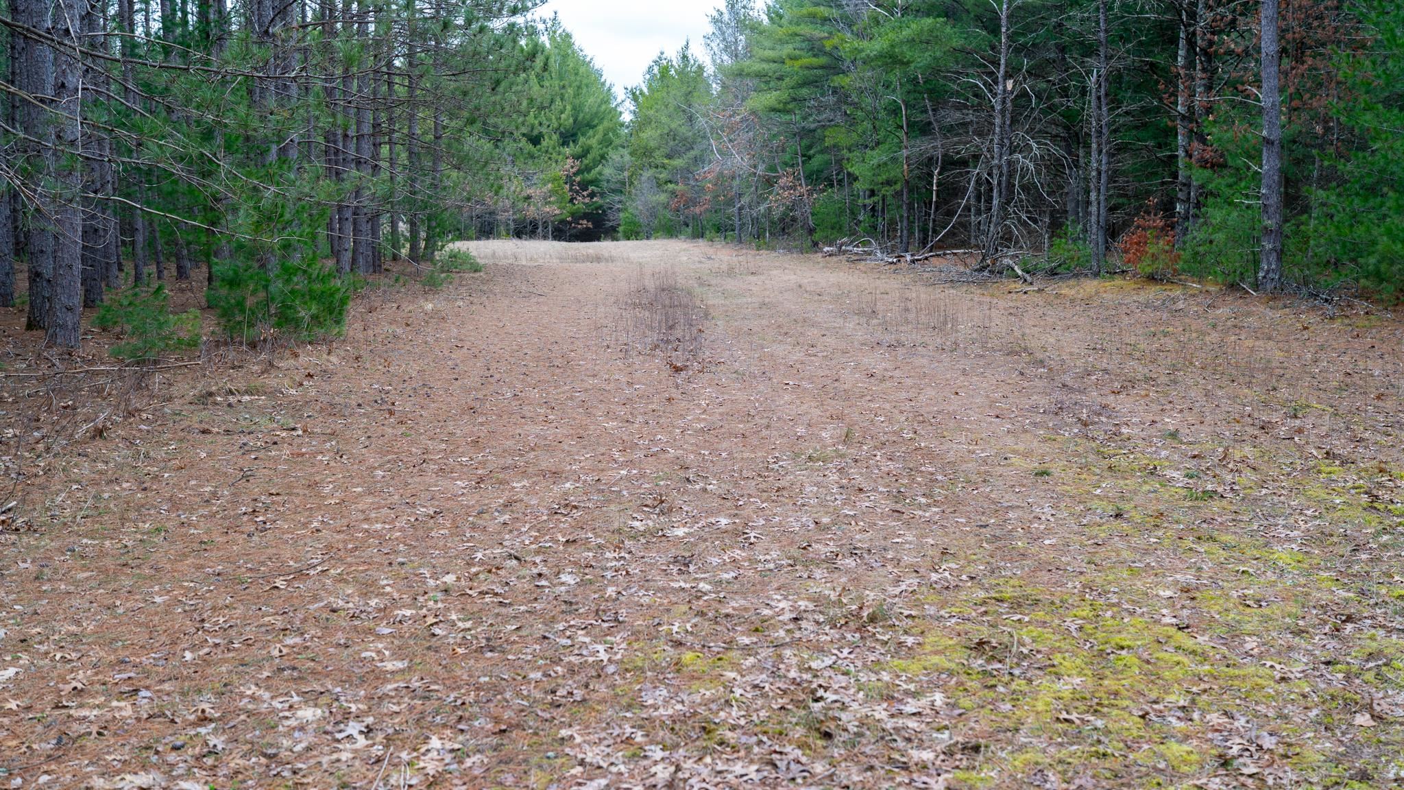 Land in Adams 3