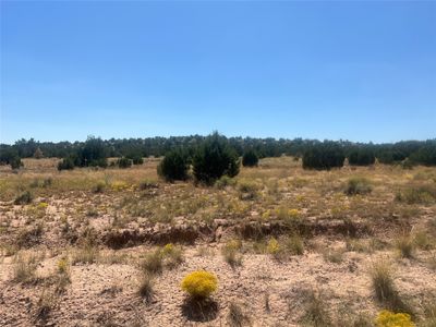 78 Alterita Rd, Home with 0 bedrooms, 0 bathrooms and null parking in Cerrillos NM | Image 1