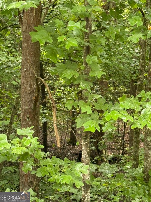 5b-1931 Seven Forks Rd, Martin, GA, 30557-4468 | Card Image