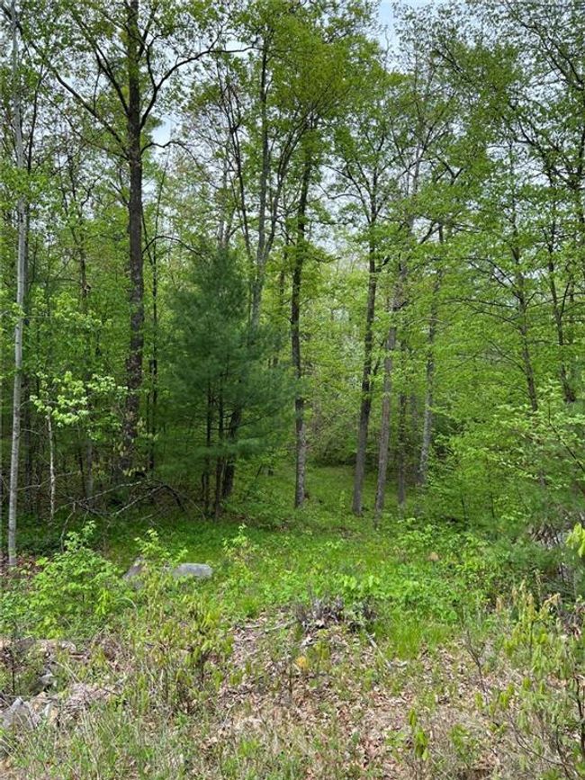 W 4670 County Highway F, House other with 2 bedrooms, 1 bathrooms and null parking in SPRINGBROOK WI | Image 8