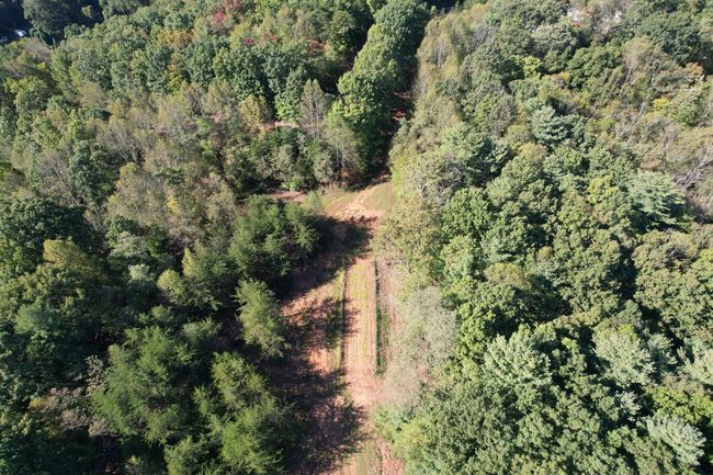 DJI_0101 | Image 36
