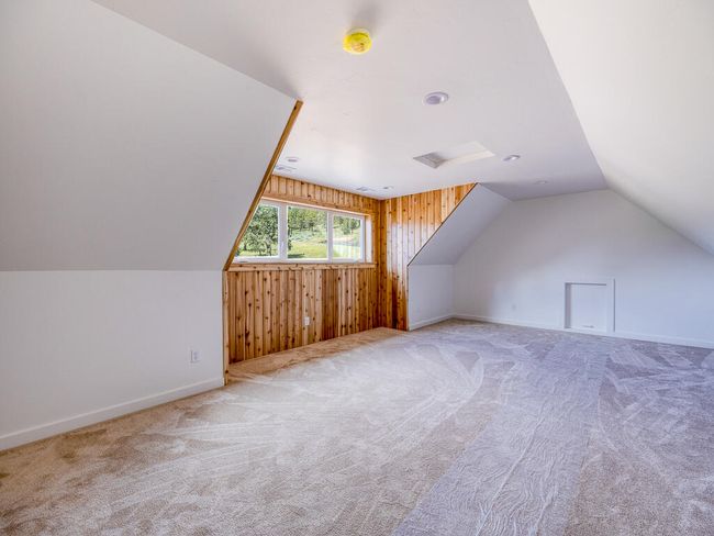 1168 Paper Birch-20 | Image 20