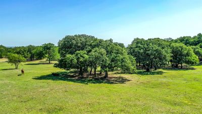 View of nature with a rural view | Image 2