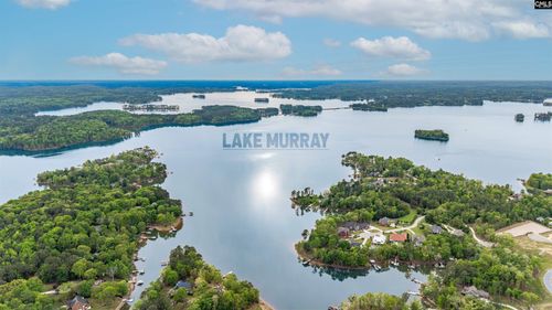 1005 Refuge Pl, Chapin, SC, 29036-7207 | Card Image