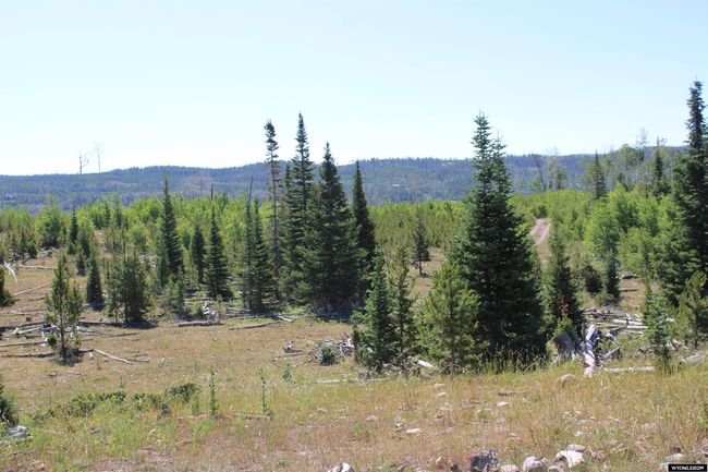 9706 9902 County Road 271, Home with 5 bedrooms, 3 bathrooms and null parking in Robertson WY | Image 45