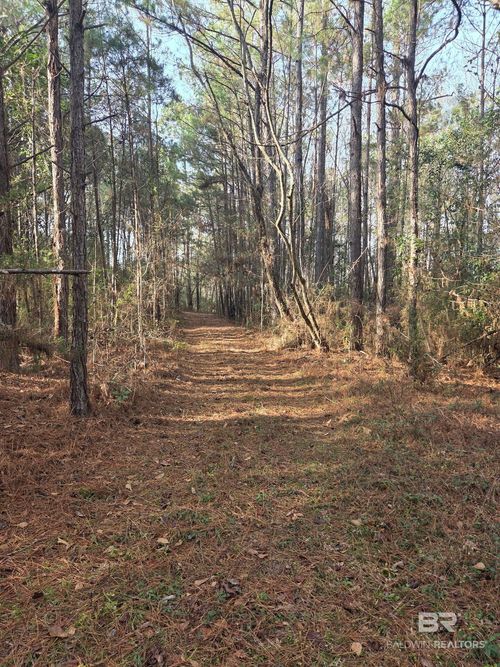 0 N Jackson St, Castleberry, AL, 36432 | Card Image