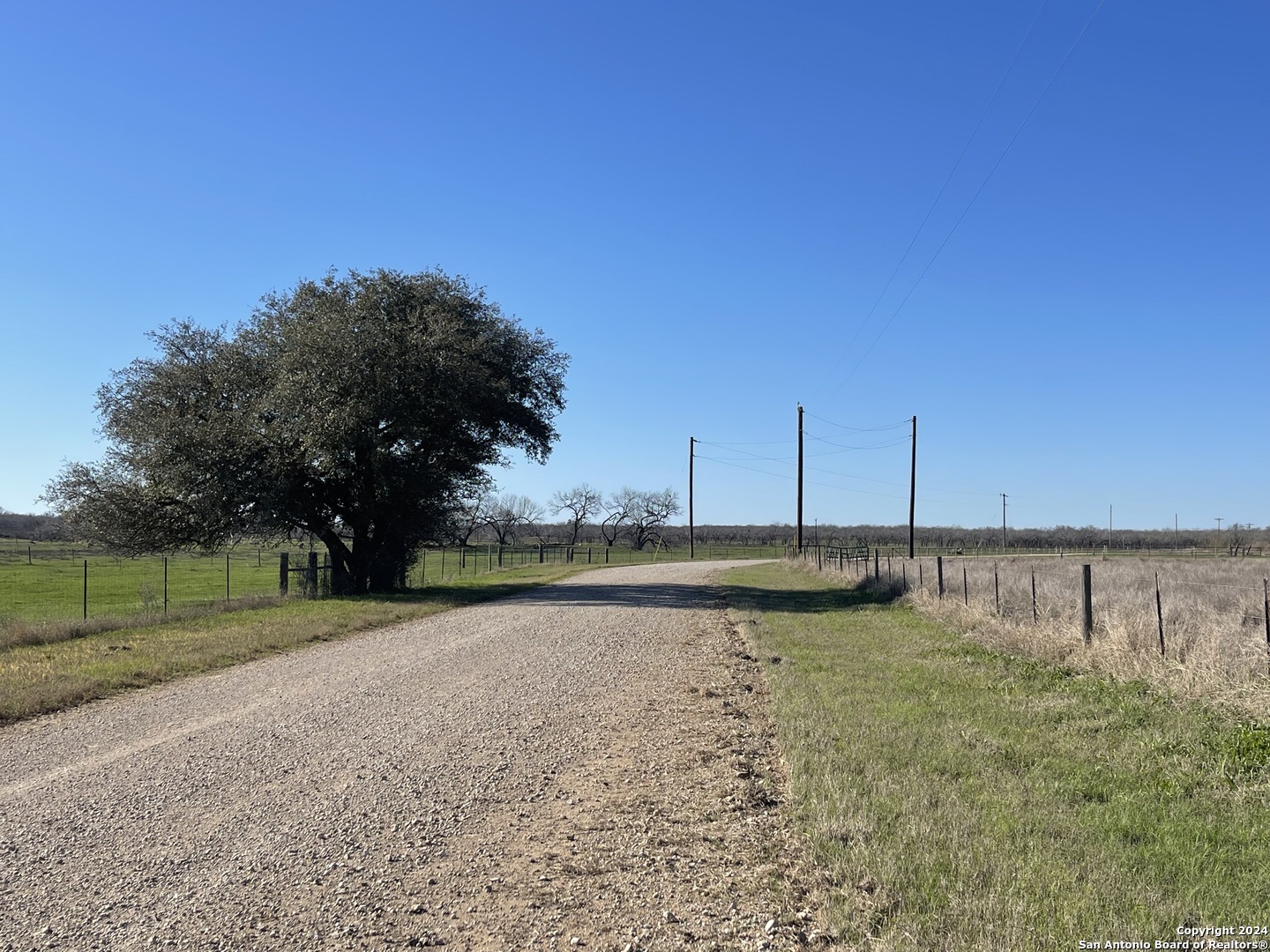 Land in Floresville 4