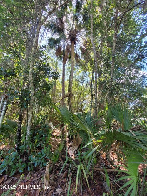 100 Oconner Dr, Satsuma, FL, 32189-3098 | Card Image
